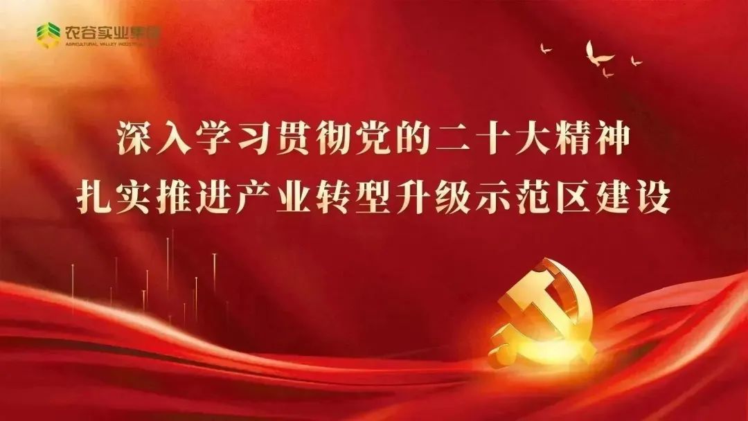 信访工作条例